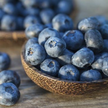 Arándanos Azules: Tesoros Nutricionales y sus Beneficios para la Salud