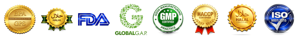 certificaciones 8 columnas scaled